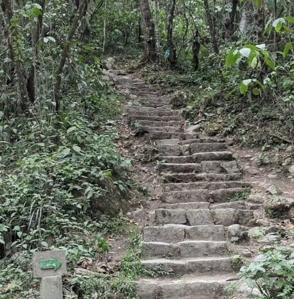 The Path to 100